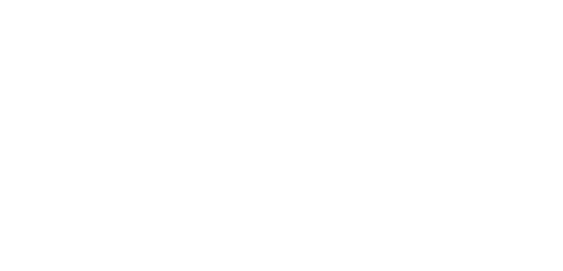 ISO Blanco 2-1